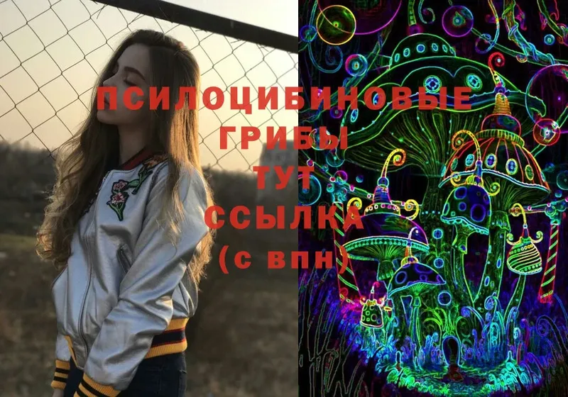 Галлюциногенные грибы Cubensis  Инза 